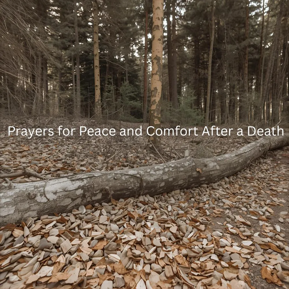 Prayers for Peace and Comfort After a Death