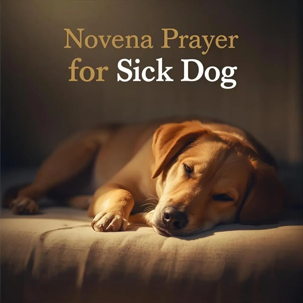 Novena Prayer for Sick Dog