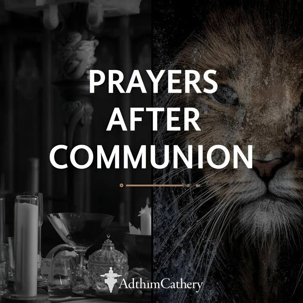 Prayers After Communion Catholic