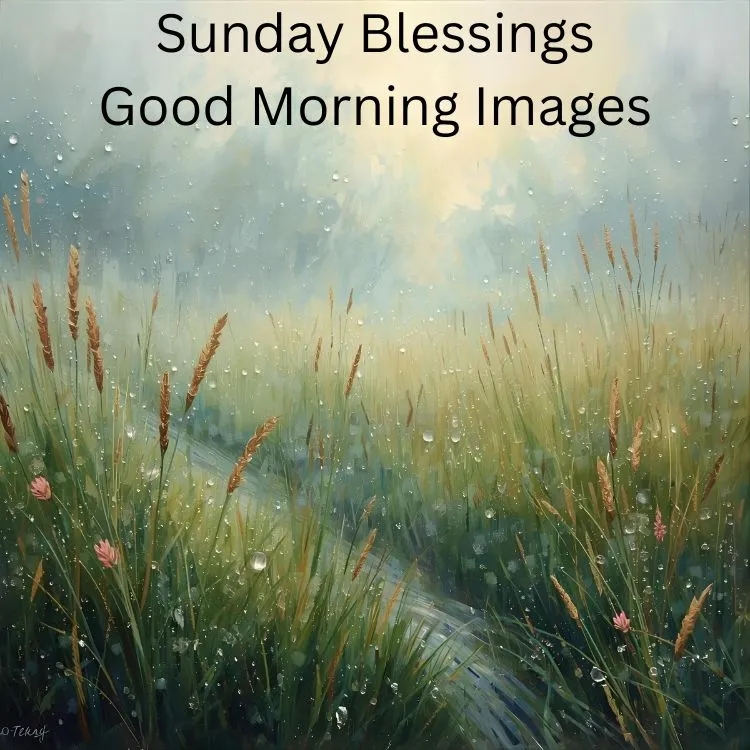 Sunday Blessings Good Morning Images