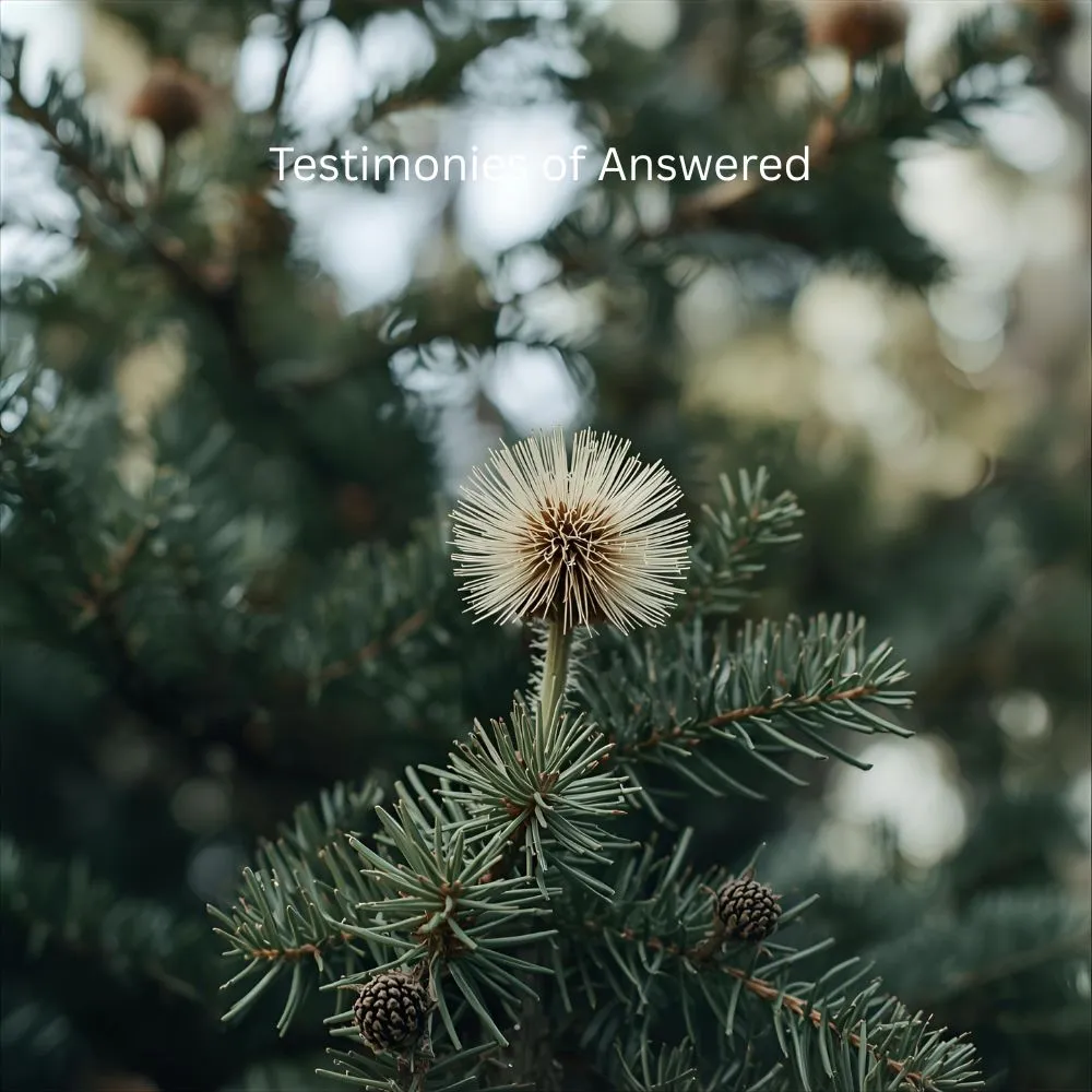 Testimonies of Answered