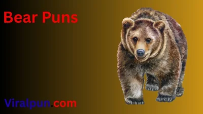 Bear Puns