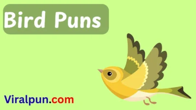 bird puns