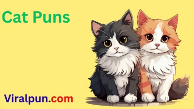 Cat Puns