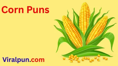 Corn Puns