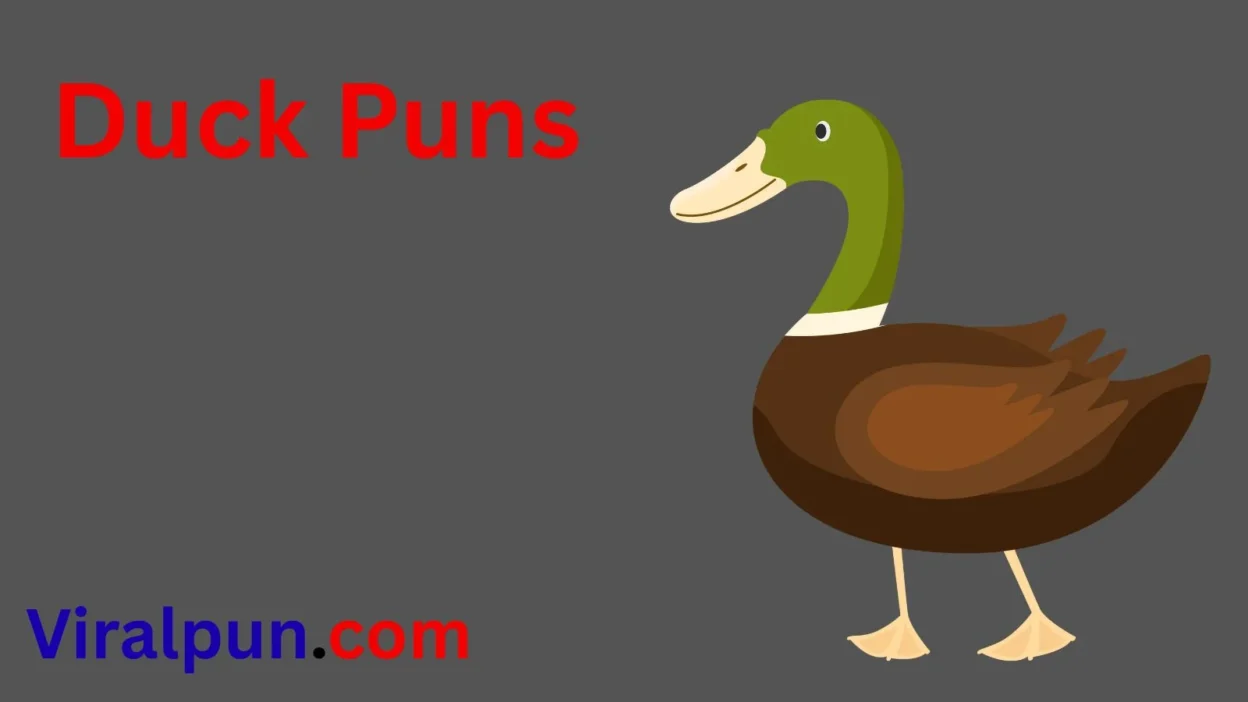 Duck Puns