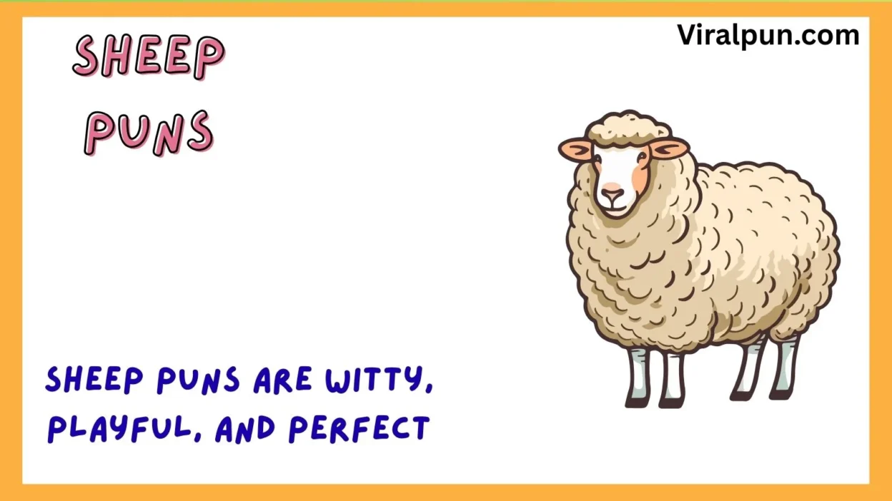 Sheep Puns