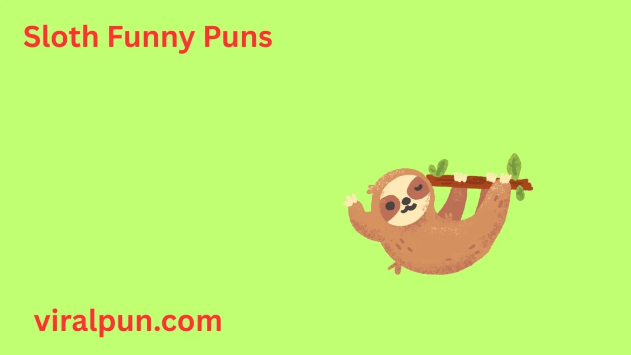 Sloth Funny Puns