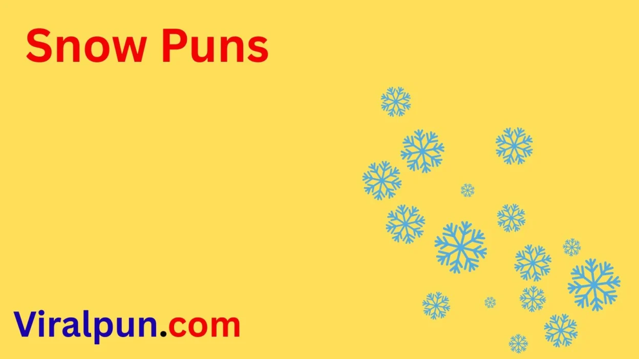 Snow Puns