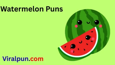 Watermelon Puns