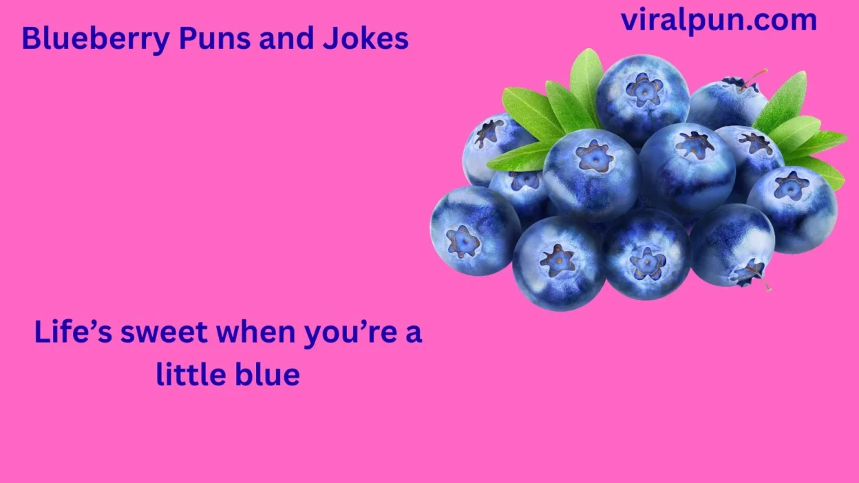 Blueberry Puns and Jokes