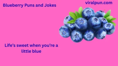 Blueberry Puns and Jokes